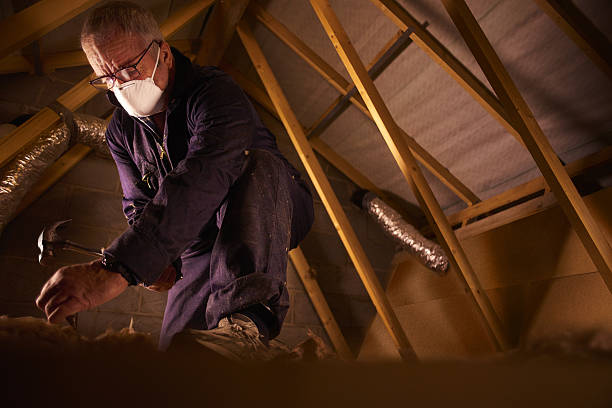 Best Local Insulation Services  in Wheaton, MN